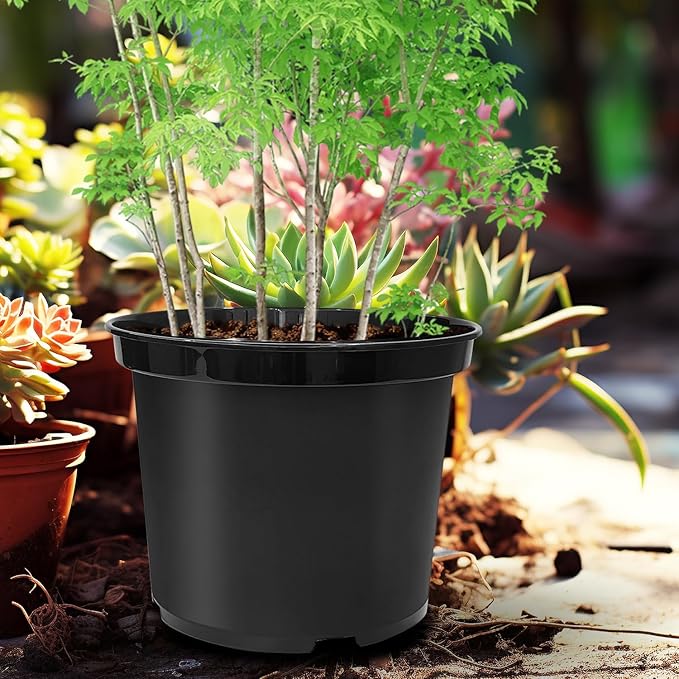 5 Gallon Pots with 10lbs Rocks, 12 Inch Plastic Nursery Pots with Drainage Holes, Round Sturdy Garden Pots with Stones, Deep Nursery Pots for Plants, Gardening Gifts for Women (5-Pack, Black)