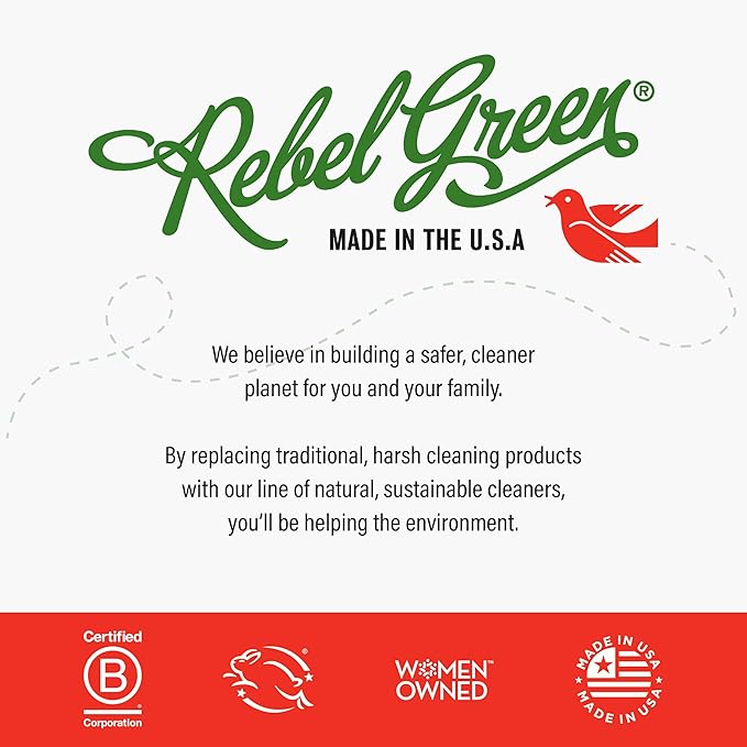 Rebel Green Super Deluxe Dish Soap - Natural Dishwashing Soap - Liquid Dish Detergent - Sustainable Dish Liquid Scented with Chai Tea - (16 oz Bottles, 2 Pack)