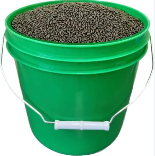 House Naturals 2 Gallon Green Buckets pails with Lids - Food Grade - BPA Free -( Pack of 4 ) Made in USA
