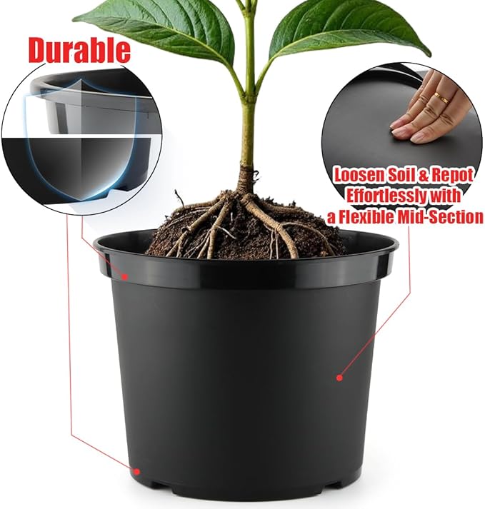 3 Gallon Plastic Nursery Pots, 10 Inch Round Plant Pots with Drainage Holes, 10 Pack Planting Pot for Outdoor Indoor Plants, Gardening Gifts for Women, Black