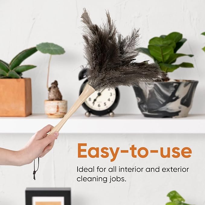 Superio Ostrich Feather Duster Fluffy Dust Remover, with Wooden Handle Reusable for Cleaning Homes, Ceilings, and Furniture (3 Pack) (2 Pack)