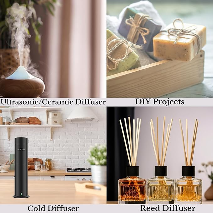 Scentia W Magic Hotel Diffuser Oil Inspired by 5-Star Hotel - 50 mL 1.69 fl oz - Fragrance Oil Blend Bergamot, Lemongrass & Jasmine for Aromatherapy Diffusers and Humidifiers