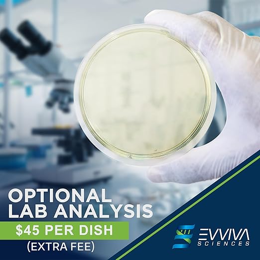 Evviva Sciences Mold Test Kit for Home - 10 Easy Detection Tests w/Optional Lab Analysis (Extra Fee), Test HVAC System, Surfaces, & Indoor Air Quality Testing Kit - Downloadable Mold Information Guide