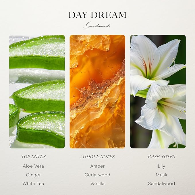 Scentiment Diffuser Oil - Day Dream | Inspired by Westin® Hotel White Tea Scent | Aromatherapy Home Fragrance| Luxurious Scent with Notes of Aloe Vera, Cedar, White Tea (120 mL)