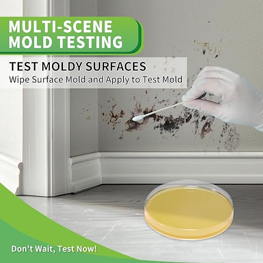 Mold Test Kit for Home with Free Lab Analysis - 10 Simple Detection Tests DIY at Home Mold Air Tester - Test HVAC System,Surface Mold for Home Indoor & Outdoor Air Quality Mold Testing Kits Detector