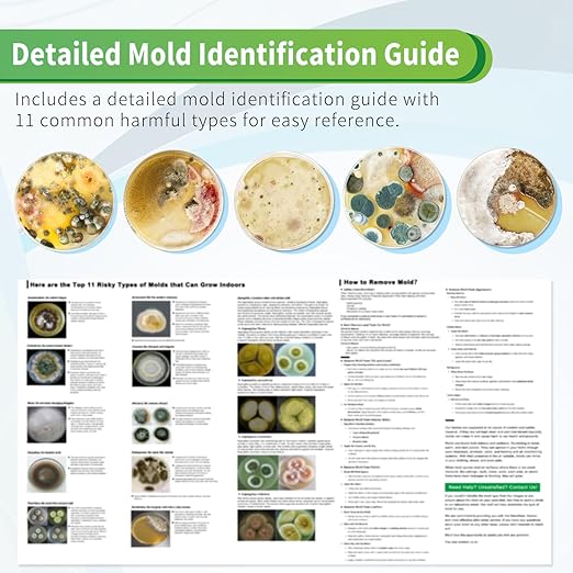 Mold Test Kit for Home with Free Lab Analysis - 5 Simple Detection Tests DIY at Home Mold Air Tester - Test HVAC System,Surface Mold for Home Indoor & Outdoor Air Quality Mold Testing Kits Detector