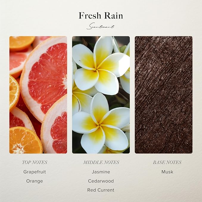 Scentiment Diffuser Oil - Fresh Rain | Aromatherapy Home Fragrance |Inspired by Marriott® Hotels | Luxurious Scent with Notes of Fresh Grapefruit and Crisp Red Currant (120 mL)