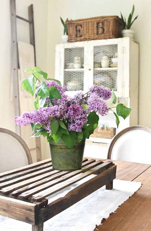 Briful 5PCS Galvanized Buckets 7.1In Rustic Farmhouse Metal Bucket Galvanized Flower Bucket Plants Pot, Home Indoor Outdoor Decor Tin Planter, Bronze