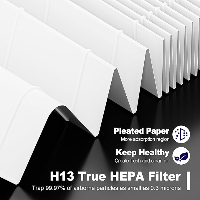 116130 Replacement Filter H for Winix 5500-2 AM80 Plasmawave Air Purifier, True HEPA Filter and Activated Carbon Filter Combo Pack, 1 Set