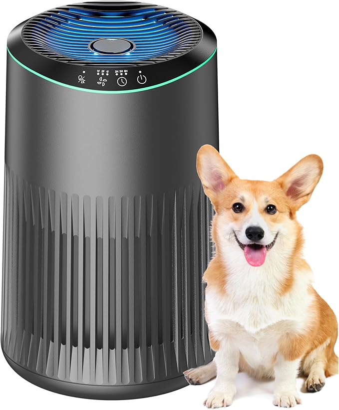 Air Purifiers for Bedroom Home, Air Purifier for Smoke Odors with Fragrance Sponge, Small Air Purifier with Sleep Mode for Bedroom Office, Blue Night Light, Grey, 1 Pack+3 Modes