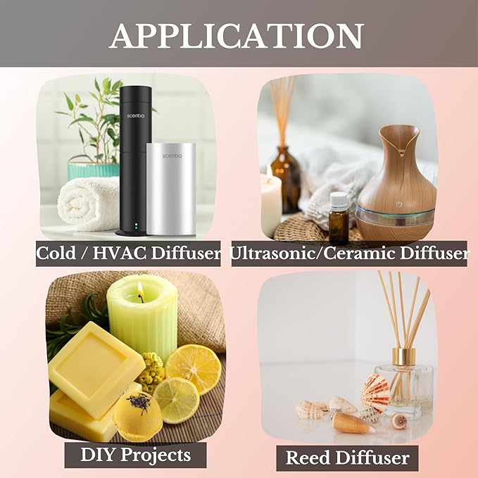 Scentia Hotel Diffuser Oil Inspired by The Hotel Costes Paris - 20 mL 0.67 fl oz - Fragrance Oil Blend Rose,Clove &Sandalwood for Aromatherapy Diffuser & Humidifiers.-Paris