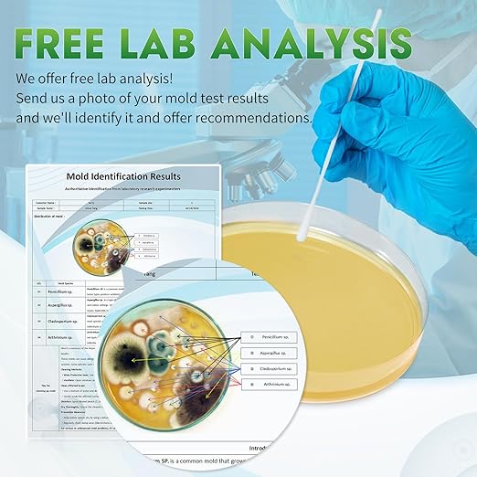 Mold Test Kit for Home with Free Lab Analysis - 10 Simple Detection Tests DIY at Home Mold Air Tester - Test HVAC System,Surface Mold for Home Indoor & Outdoor Air Quality Mold Testing Kits Detector