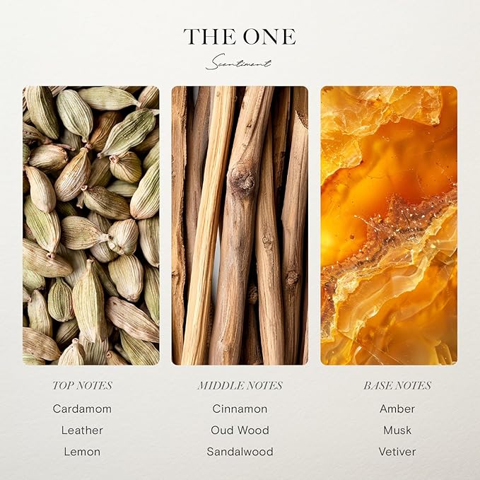 Scentiment Diffuser Oil - The One | Inspired by Miami Beach Lobby Scent | Aromatherapy Fragrance Oil | Notes of Cardamom, Leather, Lemon with Cinnamon & Sandalwood (20 mL)
