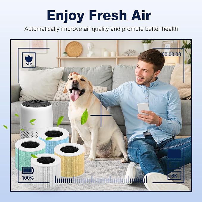 Core Mini Toxin Absorber Replacement Filter for LEVOIT Core Mini and Core Mini-P Air Purifier, 3-in-1 H13 Grade True HEPA and Activated Carbon, Core Mini-RF-TX, 2 Filter & 10 Fragrance Sponge, Green
