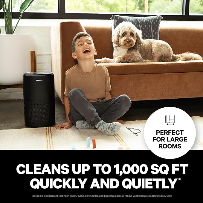 PuroAir 240 Replacement Filter - HEPA Filters up to 99.9% of Smoke, Pollen, Dust and Common Household Pollutants - HEPA Air Filter Replacement for PuroAir 240 Air Purifier (2 Pack)