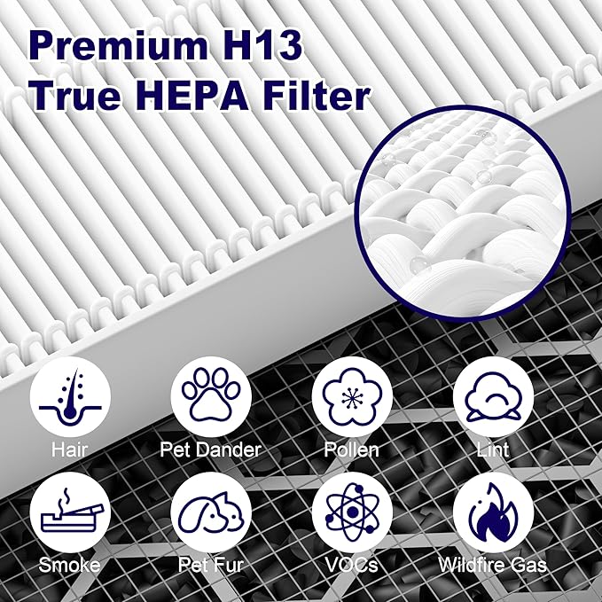 116130 Replacement Filter H for Winix 5500-2 AM80 Plasmawave Air Purifier, True HEPA Filter and Activated Carbon Filter Combo Pack, 1 Set