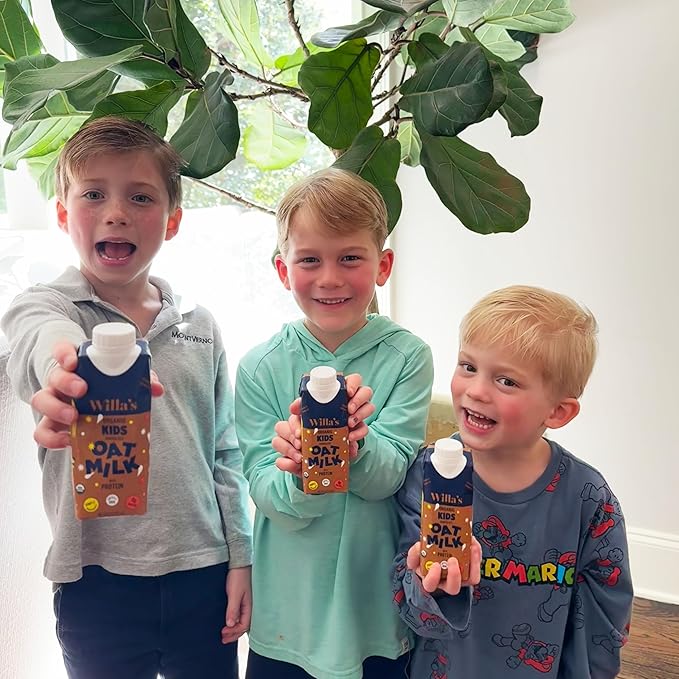 Willa's Organic Kid's Chocolate Oat Milk with 8g Protein & 240g Calcium, Plant-Based Milk for Kids, Dairy-Free, Low Sugar, 2g Fiber– 8.25 oz, 16 Pack