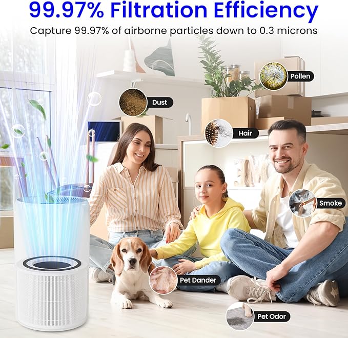 Future Way Core 300 Replacement Filter for LEVOIT Core 300 & 300S Air Purifier, 3-Stage H13 True HEPA Filter for Common Airborne Substance Removal, Replace Core 300-RF, White, 1-Pack