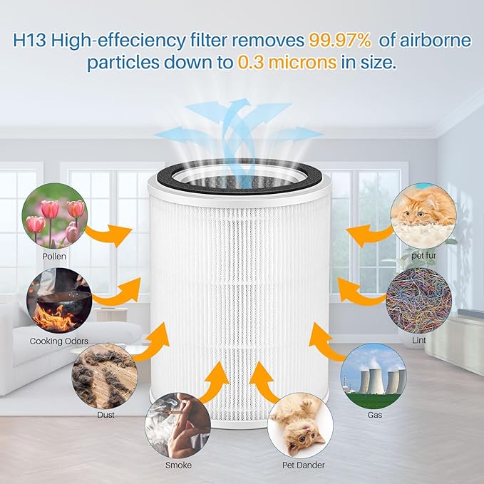 TPAP001 H13 True HEPA Air Filter, Only Compatible with TOPPIN TPAP001 Comfy Air C2 Air Purifier, H13 True HEPA Filter for TOPPIN TPAP001 Filter