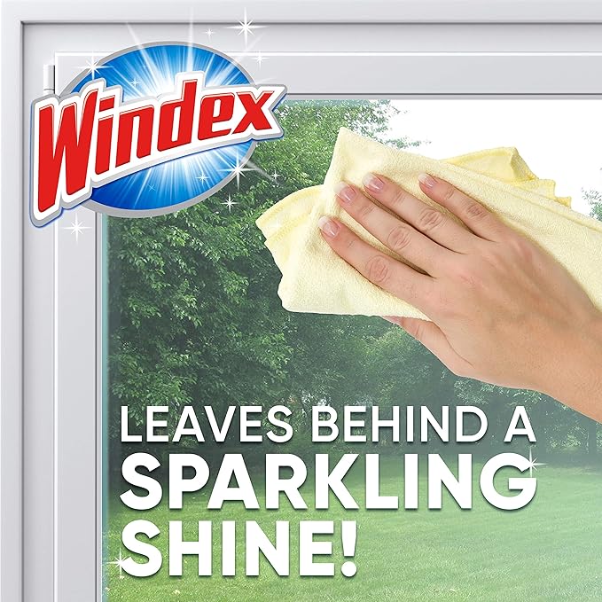 Windex Foaming Glass Cleaner, Fresh, 20 oz Aerosol Spray, 6/Carton (333813)