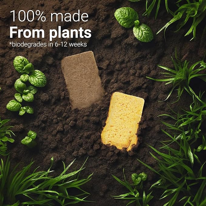 bioGo 24 Pack Biodegradable Kitchen Sponges - Eco-Friendly, Compostable, Natural Cellulose Dish Sponge - Biodegradable - Kitchen